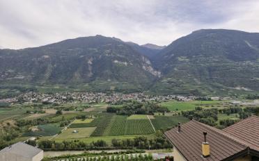 Bauland - image - 1