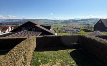 Duplex 4.5 Zimmer - image - 3