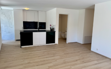Wohnung 4.5 Zimmer - image - 2