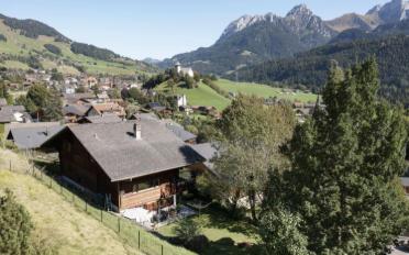 Chalet 9 rooms - image - 10