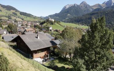 Chalet 9 Zimmer - image - 1