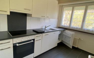 Wohnung 1.5 Zimmer - image - 1