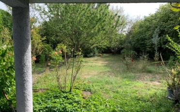 Villa 4 Zimmer - image - 9