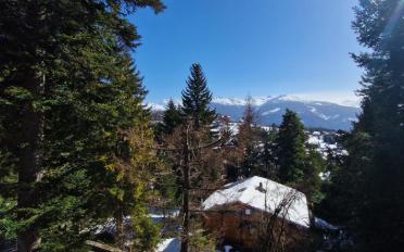 Chalet 8.5 pièces - image - 13