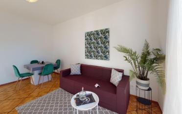 Wohnung 2 Zimmer - image - 3