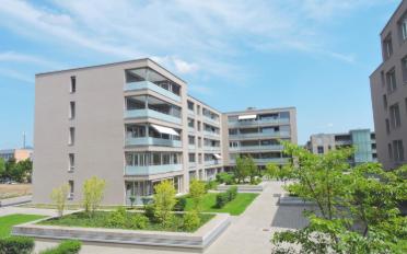 Wohnung 4.5 Zimmer - image - 1