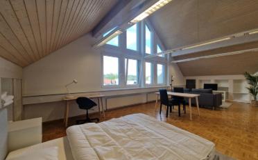 Wohnung ein Zimmer - image - 8