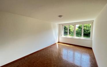 Appartement 1 pièce - image - 2