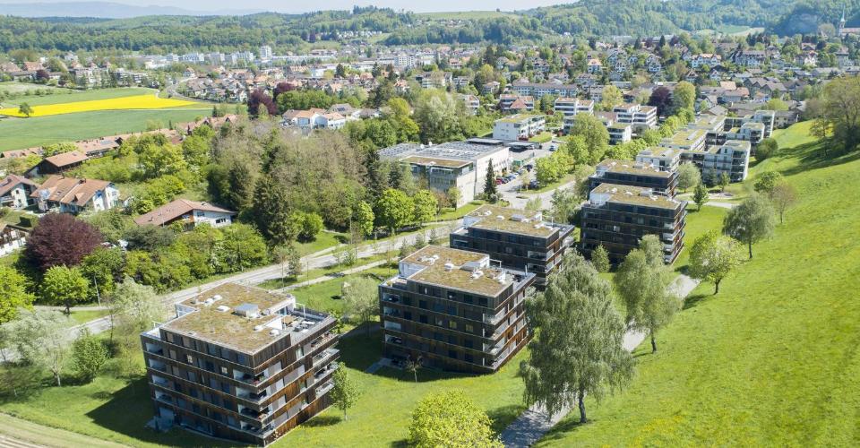 Burgdorf