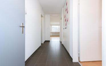 Appartement 3 pièces - image - 6
