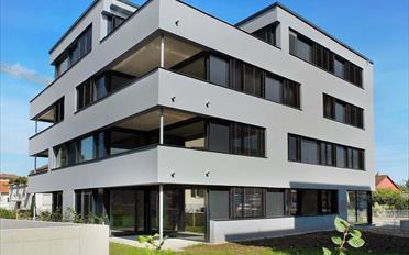 Wohnung 2.5 Zimmer - image - 1