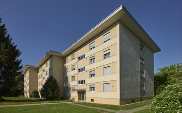 Wohnung 2 Zimmer - image - 1