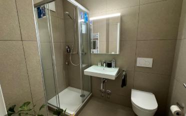 Wohnung 2.5 Zimmer - image - 10