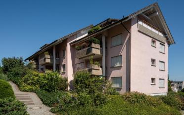 Wohnung 2.5 Zimmer - image - 1