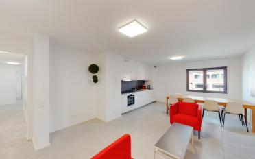 Furnished flat 1 room - image - 2
