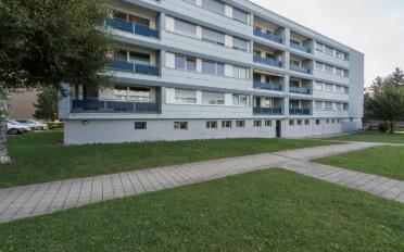 Wohnung 3 Zimmer - image - 2