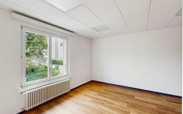 Wohnung 2.5 Zimmer - image - 1
