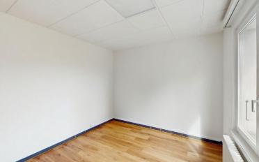 Wohnung 2.5 Zimmer - image - 4