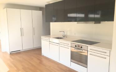Wohnung 4.5 Zimmer - image - 2