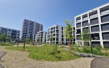 Duplex 5.5 rooms - image - 1