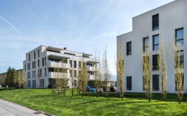 Wohnung 4.5 Zimmer - image - 1