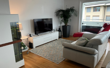 Wohnung 3.5 Zimmer - image - 2