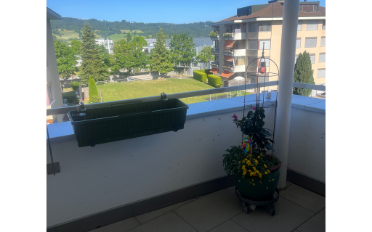 Wohnung 3.5 Zimmer - image - 9