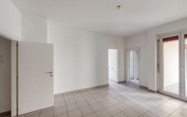 Wohnung 2.5 Zimmer - image - 2