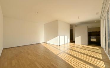 Wohnung 3.5 Zimmer - image - 2