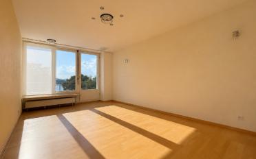 Wohnung 2.5 Zimmer - image - 4