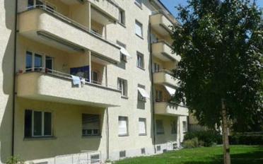 Wohnung 2.5 Zimmer - image - 1
