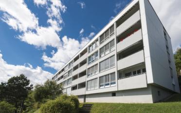 Wohnung ein Zimmer - image - 7