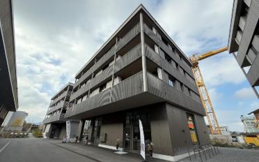 Wohnung 3.5 Zimmer - image - 1