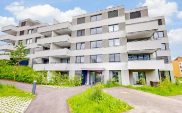 Wohnung 2.5 Zimmer - image - 1
