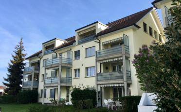 Wohnung 2.5 Zimmer - image - 1