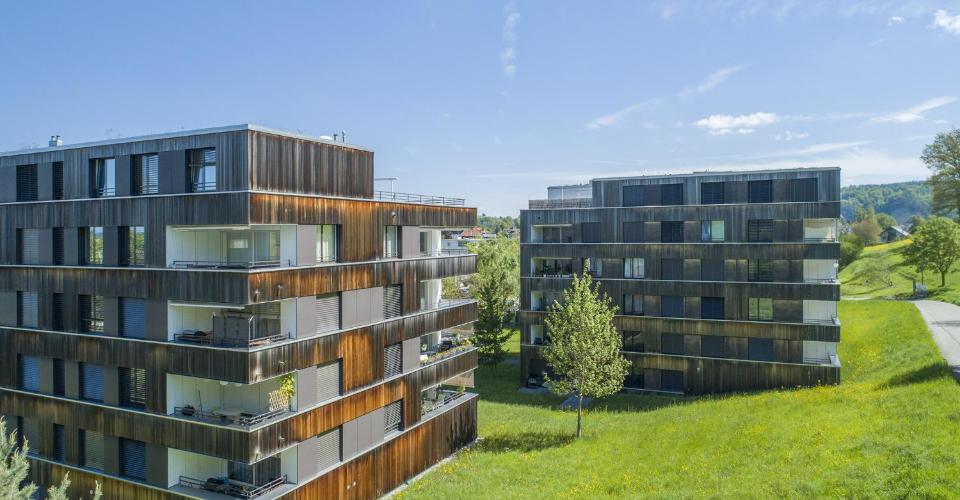 Burgdorf