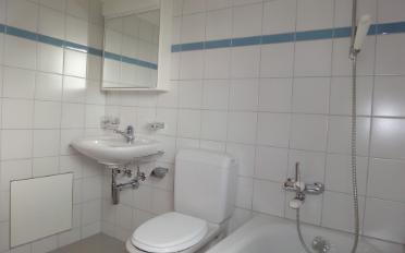Appartement 3.5 pièces - image - 3