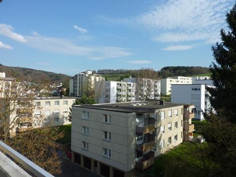 Gebenstorf