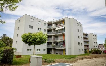 Wohnung 2.5 Zimmer - image - 2