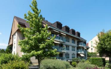 Wohnung 2 Zimmer - image - 2