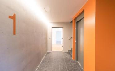 Apartment 2.5 rooms - image - 2