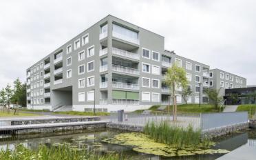 Wohnung 3.5 Zimmer - image - 13