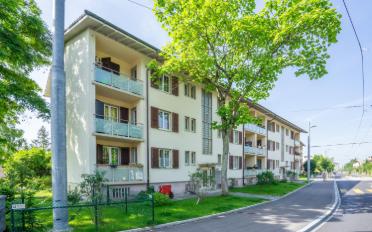 Wohnung 3.5 Zimmer - image - 2