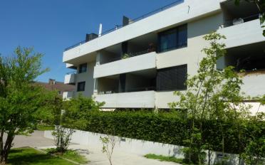 Duplex 3.5 Zimmer - image - 1