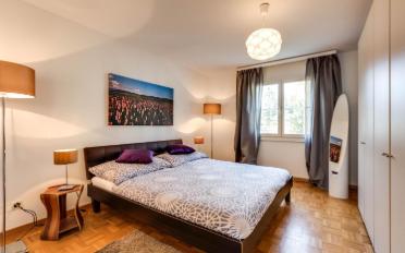 Apartment 3.5 rooms - image - 3