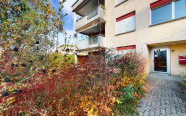 Apartment 2.5 rooms - image - 2