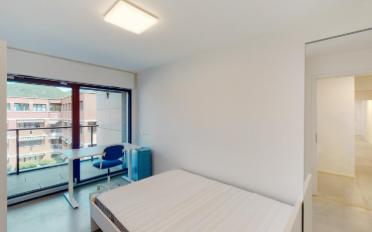 Apartment 1.5 rooms - image - 4