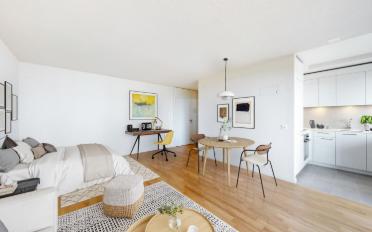 Wohnung ein Zimmer - image - 1