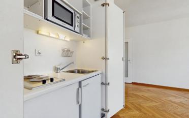 Apartment 1 room - image - 6