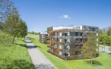 Wohnung 2.5 Zimmer - image - 1